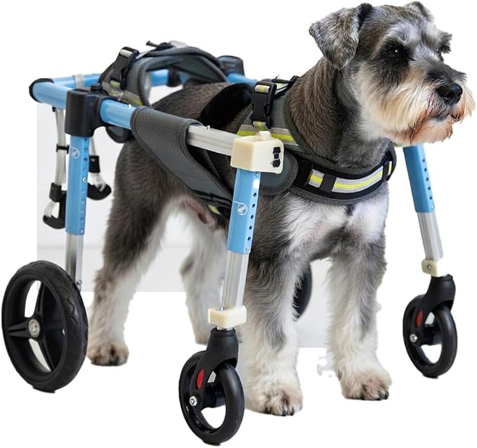 Pet Mobility Support 4 Wheel Full Support Dog Wheelchair Adjustable Pet Wheelchair Dog Leg Support Cart for Arthritis Relief for Hind Leg Support & Rehabilitation