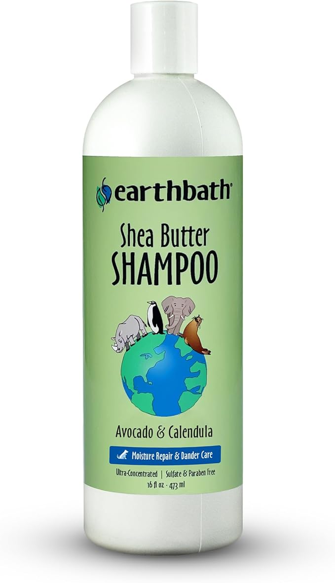earthbath, Shea Butter Shampoo - Dog Shampoo, Plant-Based, Cruelty-Free, Vegan, Gluten-Free, Non-GMO, Made in USA, Moisutre Repair & Dander Care - 16 Oz (1 Pack)