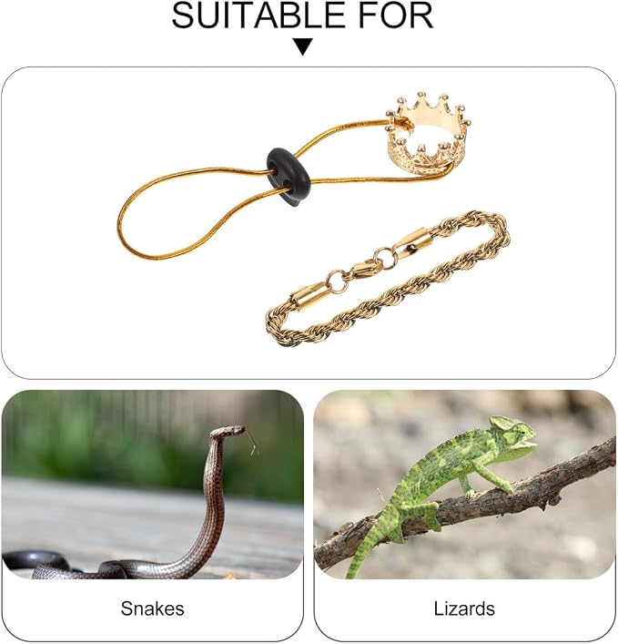 Lizard Clothes Accessories Reptile Crown Necklace with Chain Small Costume Hat for Bearded Dragon Snake Lizard Festival Photo Prop 0.98 X 0.98 X 0.51 in