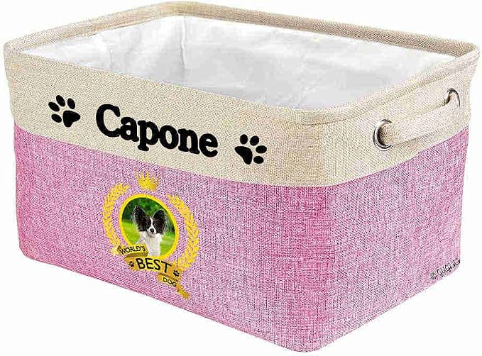 Custom Name Collapsible Dog Toy Storage Basket Bin World's Best Dog Papillon Foldable Pet Toy Box Closet Shelf Baskets Organizer for Bedroom Home Dog Cat with Handles Pink