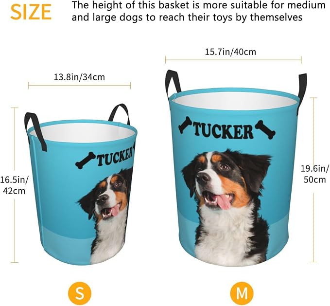 Personalized Large Dog Toy Storage Basket Bin Collapsible Custom Pet Stuff Box Chest Container for Living Room Organizer for Dog Toys,Dog Food,Blankets,Clothing (SkyBlue)