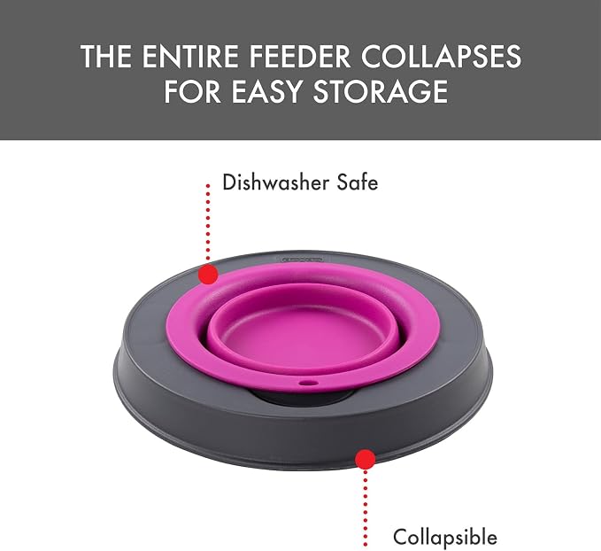 Dexas Pets Elevated Pet Feeder, Small, 1.5 Cup Capacity, Fuchsia, Raised Pet Food and Water Bowl