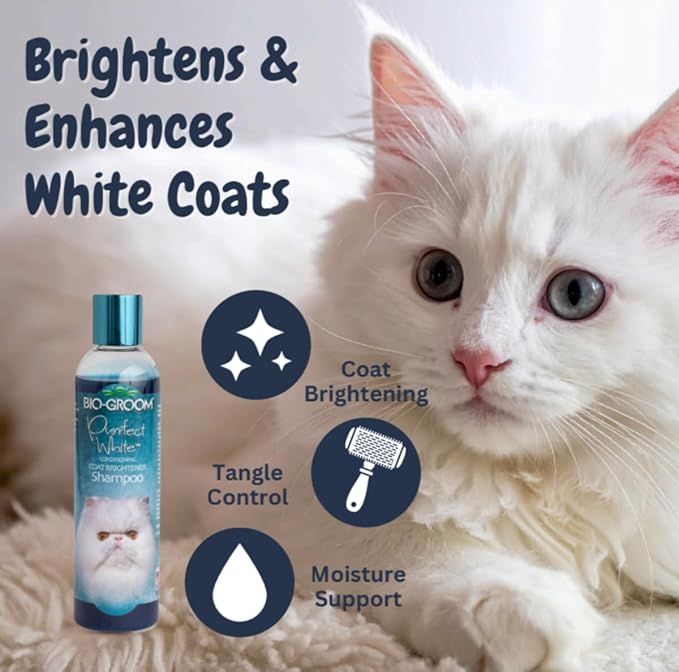 Bio-Groom Purrfect White Cat Shampoo – Color Enhancing Pet Shampoo, Cat Bathing Supplies, Kitten Wash, Cat Grooming Supplies, Cruelty-Free, Made in USA, Coat Brightener Shampoo – 8 fl oz 1-Pack