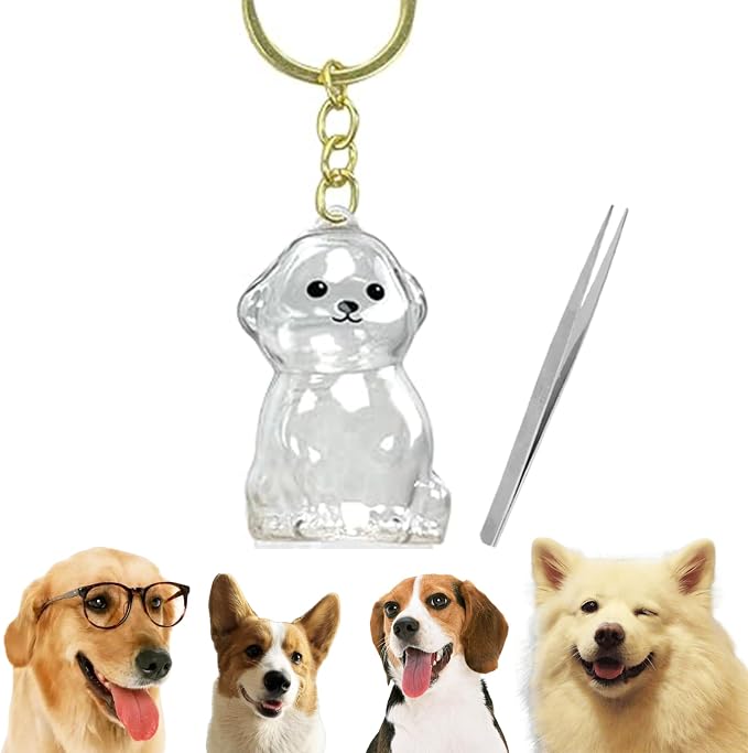 Cute Dog Hair Keychain Transparent Pet Fur Keepsake with Tweezer | Portable Dog Fur Keychain DIY Pet Hair Memorial Keepsake Dogs Hairs Collector Charm Storage Box, Dogs Lover Collecting Gifts