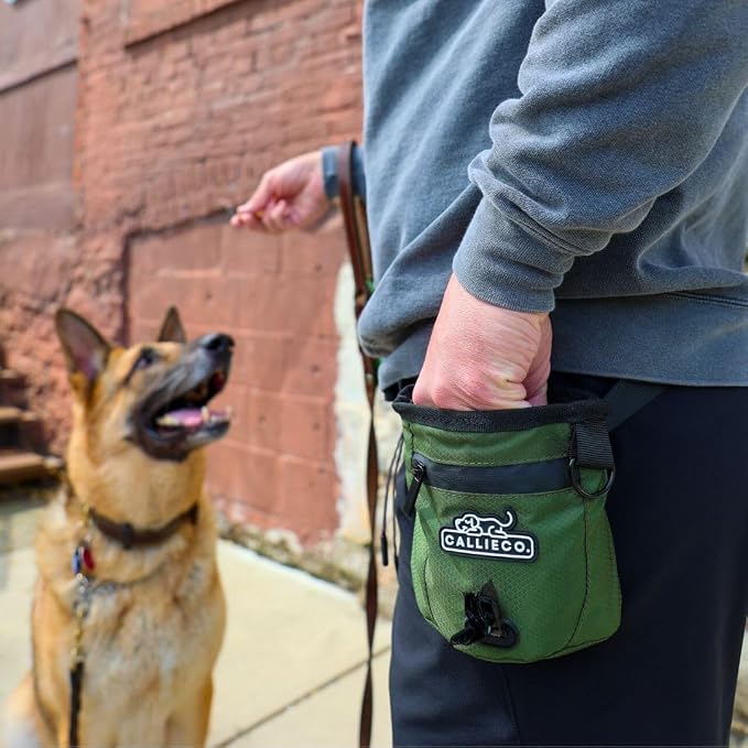 Callieco Mini Dog Treat Pouch with Magnetic & Zipper Closure | Small Waist Belt Training Behavior Aid Bag for Dog Walking with Poop Bag Dispenser (Green)