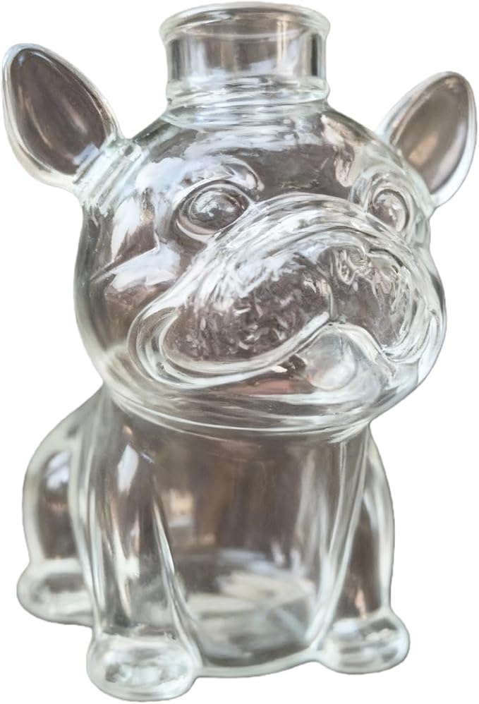 Glass Treat Container Leakproof Can Candy Jar for Pet Snacks Countertops Organizers Dog Themed Housewarming Gift Air Tight Jar with Lid