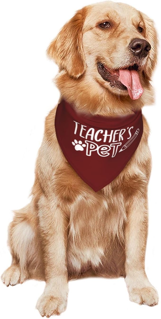 Teacher's Pet Dog Bandana,Funny Bandana Gift,Photo Prop Accessories for Dog Lovers Owner Gift,Triangle Reversible Fall Scarf, Adjustable (Red)