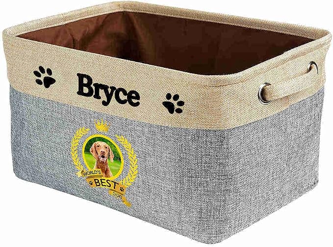 Custom Name Collapsible Dog Toy Storage Basket Bin World's Best Dog Vizsla Foldable Pet Toy Box Closet Shelf Baskets Organizer for Bedroom Home Dog Cat with Handles Gray