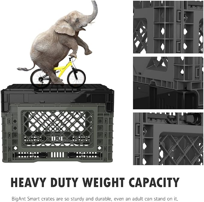Bigant Heavy Duty Collapsible & Stackable Plastic Milk Crate - Snap Lock Foldable Industrial Garage Storage Bin Container Utility Tote Basket (Charcoal Gray, 1 Small Crate)