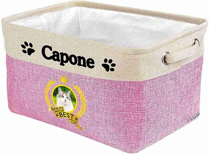 Custom Name Collapsible Dog Toy Storage Basket Bin World's Best Cat Elegant Norwegian Forest Cat Foldable Pet Toy Box Closet Shelf Baskets Organizer for Bedroom Home Dog Cat with Handles Pink