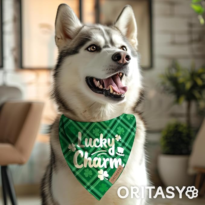 St. Patrick's Day Dog Bandanas, 2-Pack Triangle Reversible Gnomes Pet Scarves, Premium Fabric, Bandana for All Boys Girls Dogs (Lucky Charm, One Size)