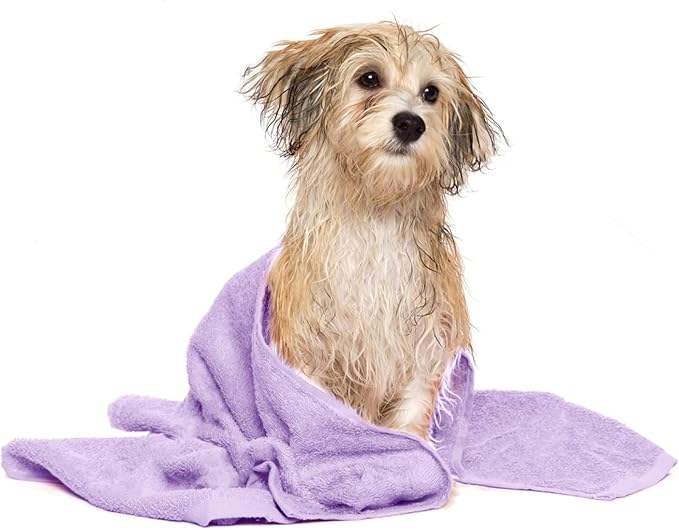 DAN RIVER Dog Towel - Pack of 1, 100% Cotton, 20x40, Ultra Soft 450 GSM, Super Absorbent & Quick Drying Towel for Dogs, Cats, and Other Pets, Crocus Petal.