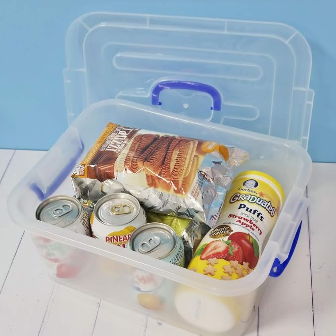 8 Liter Clear Plastic Storage Bins, 2 Packs Storage Boxes with Lids