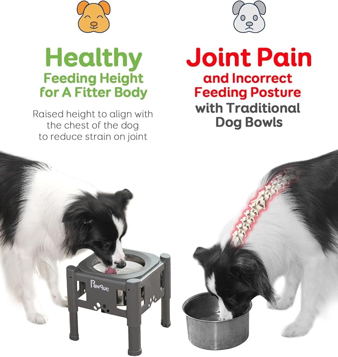 Pawque 80oz Stainless Steel Elevated Dog Water Bowls with Adjustable Stand | 3 Heights (6.1", 7.7", 9.3"), Raised Slow Floating Disc Bowls for Medium and Small Dogs, Non Slip Rubber & No-Spill