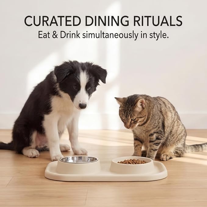 Slow Feeder Dog Bowls, Dog Bowl Set for Puppies, Small Dogs, and Cats – Silicone Non-Slip Food and Water Feeding Station, Spill-Proof Pet Dishes for Mess-Free Meals