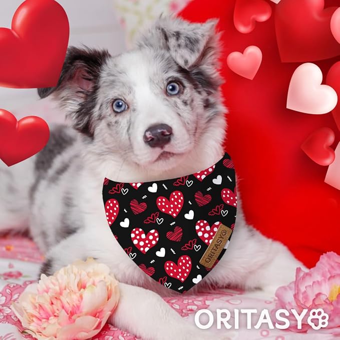 Valentines Day Dog Bandanas, 2-Pack Triangle Reversible Valentine Pet Scarves, Premium Fabric, Bandana for All Boys Girls Dogs (L, Style 2)