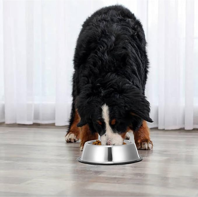 2 Pack Stainless Steel Dog Bowls with Rubber Bottom, Anti-Slip Heavy Duty Premium Quality Pets Feeder Bowls for Dogs and Cats and More (2Cup / 16oz)