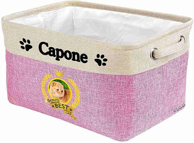 Custom Name Collapsible Dog Toy Storage Basket Bin World's Best Cat Scottish Fold Foldable Pet Toy Box Closet Shelf Baskets Organizer for Bedroom Home Dog Cat with Handles Pink