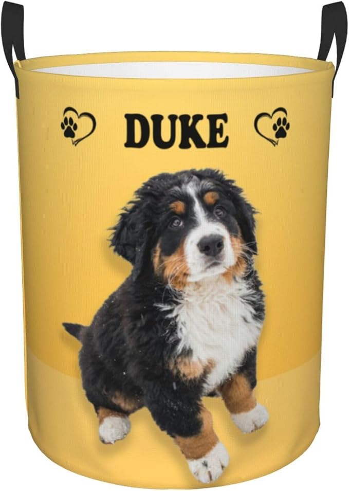 Personalized Large Dog Toy Storage Basket Bin Collapsible Custom Pet Stuff Box Chest Container for Living Room Organizer for Dog Toys,Dog Food,Blankets,Clothing (Yellow)