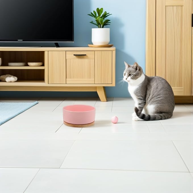 Heated Pet Bowl Constant Temperature Ceramic Round Feeder