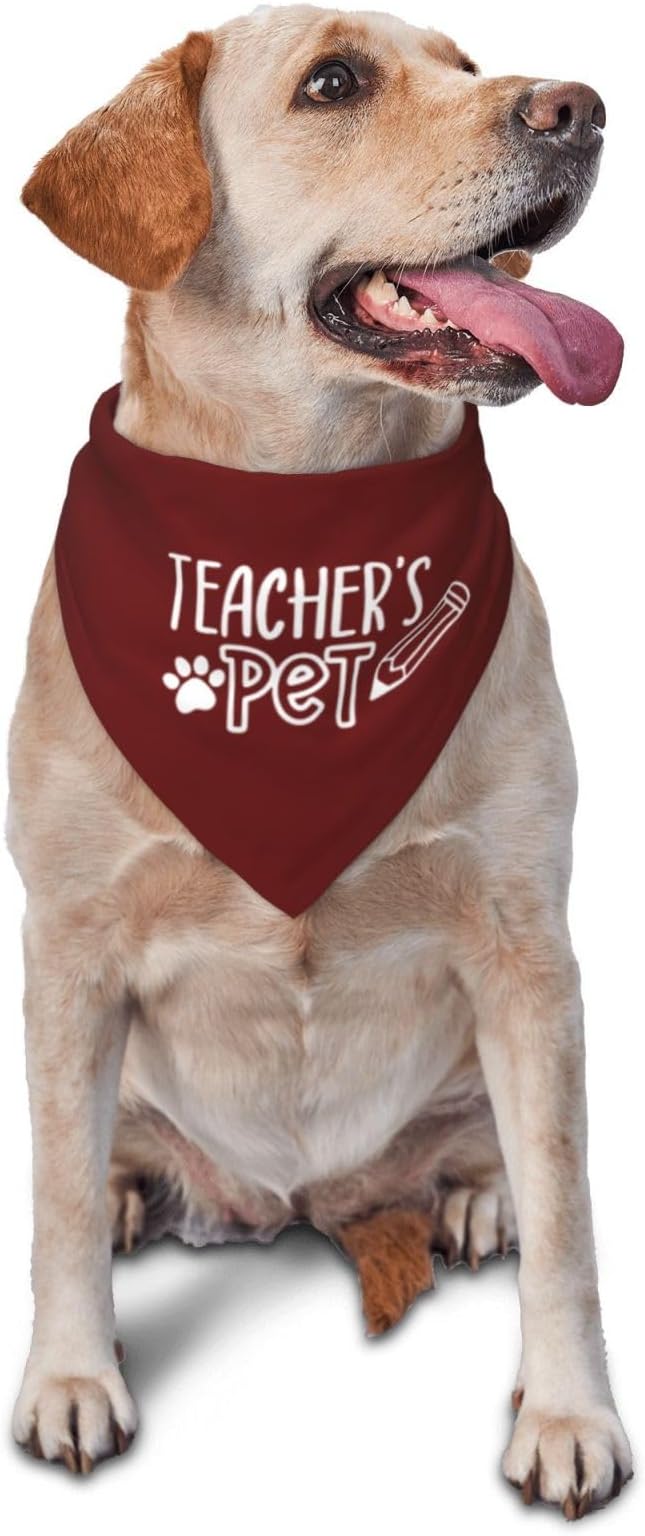 Teacher's Pet Dog Bandana,Funny Bandana Gift,Photo Prop Accessories for Dog Lovers Owner Gift,Triangle Reversible Fall Scarf, Adjustable (Red)