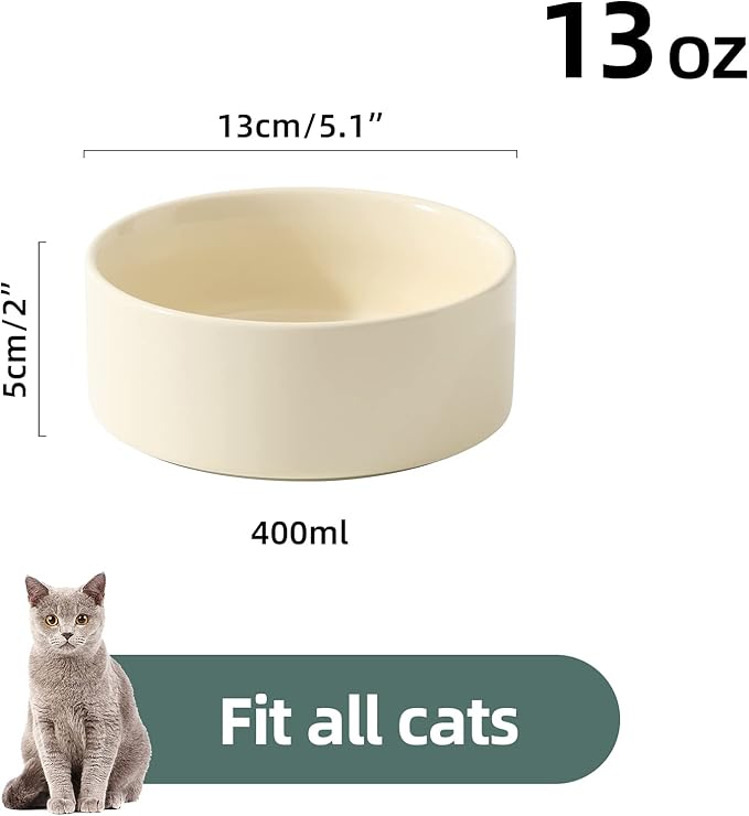 Havniva Ceramic Set of 2 Cat Bowls, Food and Water Bowls for Cats, Kitty, 2pcs Cat Dishes, Pet Feeder(5.1inch, 2 x Light Yellow Bowls)