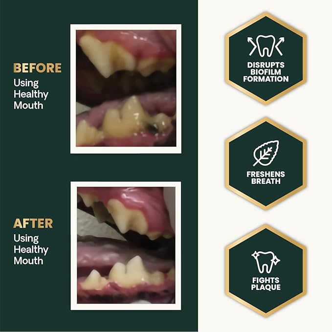 VetriScience Healthy Mouth Dog Dental Powder, 2 Pack – Helps Reduce Plaque & Tartar Buildup, Support Clean Teeth & Fresh Breath, Vet-Formulated Oral Care Powder for Dogs & Cats, 2 x 4.2 oz