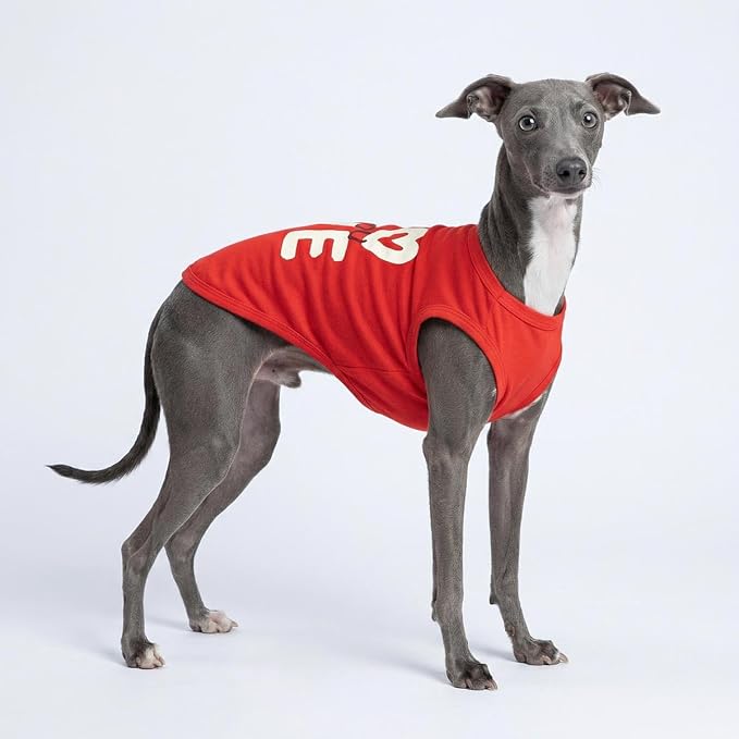 Fitwarm Love You Dog Shirt, Funny Valentines Outfit for Small Dogs Boy Girl, Festive Pet Clothes, Red, White, Small