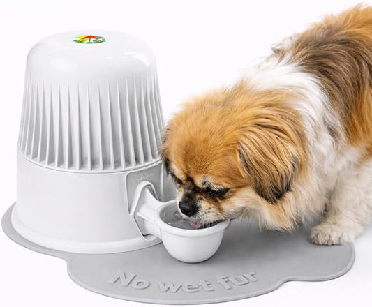 Pet Water Dispenser for Dogs and Cats, 67.6 oz – Gravity-Fed Water Bowl for Clean Drinking, Prevents Wet Fur, BPA-Free Polypropylene, Vida Mansa (Opaque White)