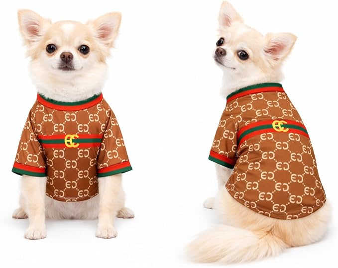Luxury Designer Dog T Shirt – Trendy Puppy Clothes for Small Dogs, Fashion Pet Tee for French Bulldogs & Chihuahuas, Everything Chic Dog Apparel (GucchewiTee, Medium)