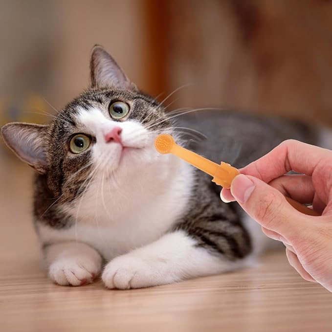 TOYANDONA 1set Soft Silicone Toothbrushes Dual Headed Pet Cleaning Kit for Small Dogs and Puppies Gentle Oral Care Tool for Kittens and Cats