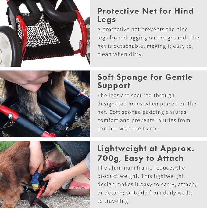 PaletteLife Miniature Dachshund Wheelchair for Back Legs, Adjustable Dog Cart with Wheels, Lightweight Mobility Support, Rear Leg Assistance for Small Dogs