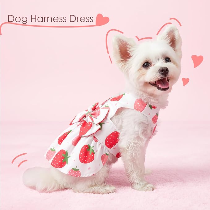 Dog Dress Harness Dresses Leash Set for Small Dogs Cute Girl Dog Clothes with Bowknot Puppy Outfits for Shih Tzu Yorkies Chihuahua