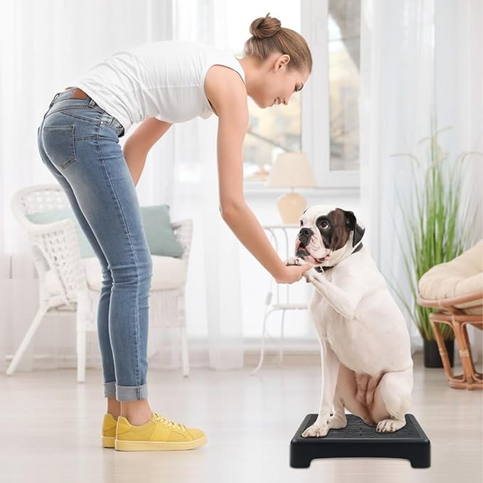 Dog Training Place Board with Non-Skid Surface, Dog Platform for Training, Portable Dog Agility Platform, Dog Training Stand, Dog Training Equipment Suitable for Small Dogs, 17x13x3.14Inch