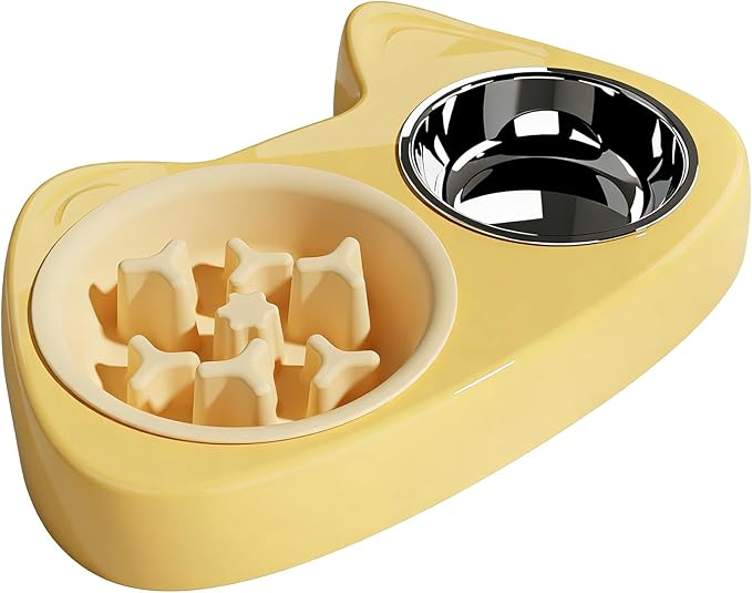 4 in 1 Slow Feeder Dog Bowls, Anti-Choking Dog Bowl Set with Non-Slip Silicone Mat, Slow Feeder Bowl, Stainless Steel Water Bowl, Standard Bowl for Small Medium Dogs Cats Puppies