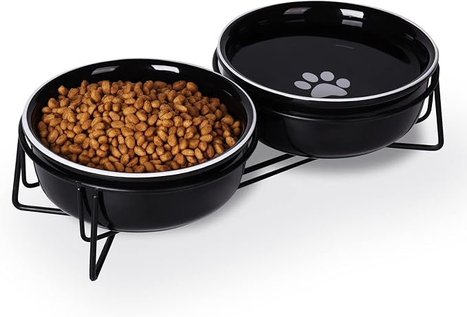 GDCZ Ceramics Raised Cat Bowls with Heighten Metal Stand,15 Ounces (Black)