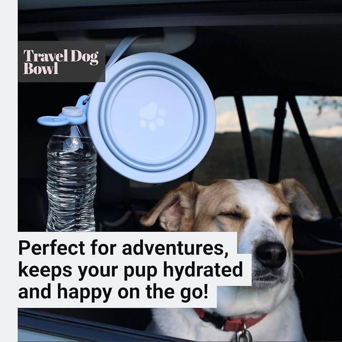 Black Collapsible Travel Dog & Cat Bowl – BPA-Free Silicone & 18/8 Stainless Steel, Portable Non-Slip Food & Water Bowl with Handle, Bottle/Poop Bag Holder – Claim Your