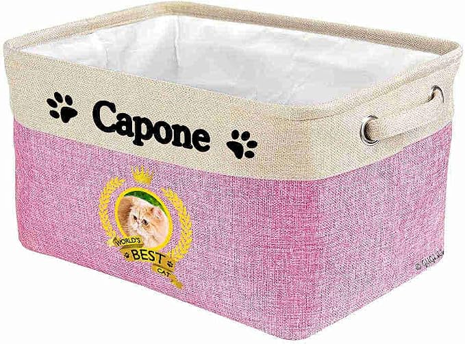 Custom Name Collapsible Dog Toy Storage Basket Bin World's Best Cat Elegant Persian Cat Foldable Pet Toy Box Closet Shelf Baskets Organizer for Bedroom Home Dog Cat with Handles Pink