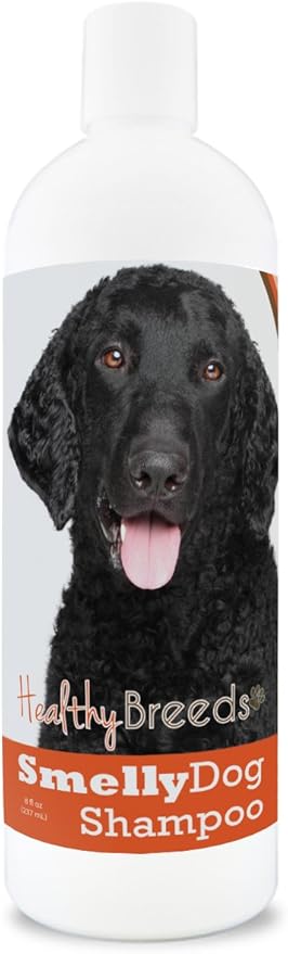 Healthy Breeds Curly-Coated Retriever Smelly Dog Baking Soda Shampoo 8 oz