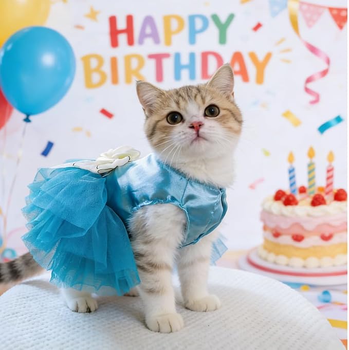 Blue Puppy Dress for Small Dogs with Bow Knot Gorgeous Cat Wedding Dresses Elegant Girl Dog Clothes Pet Party Ball Gown Outfit for Holiday Birthday Engagement Valentines (Sky Blue, X-Large)