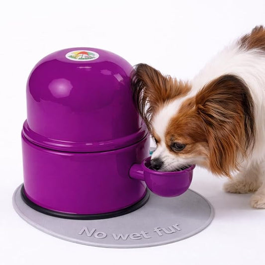 Pet Water Dispenser for Dogs and Cats, 47.3 oz – Gravity-Fed Aluminum Water Bowl, Prevents Wet Fur, Provides Continuous Fresh Water, Electrostatic Coated Finish, Vida Mansa (Violet)