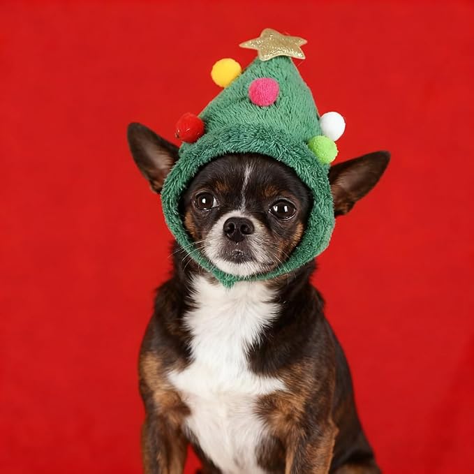 Christmas Tree Headwear Hat for Pet, Decorations Star Pompoms Christmas Cat Dog Headwear Photo Props (Small)