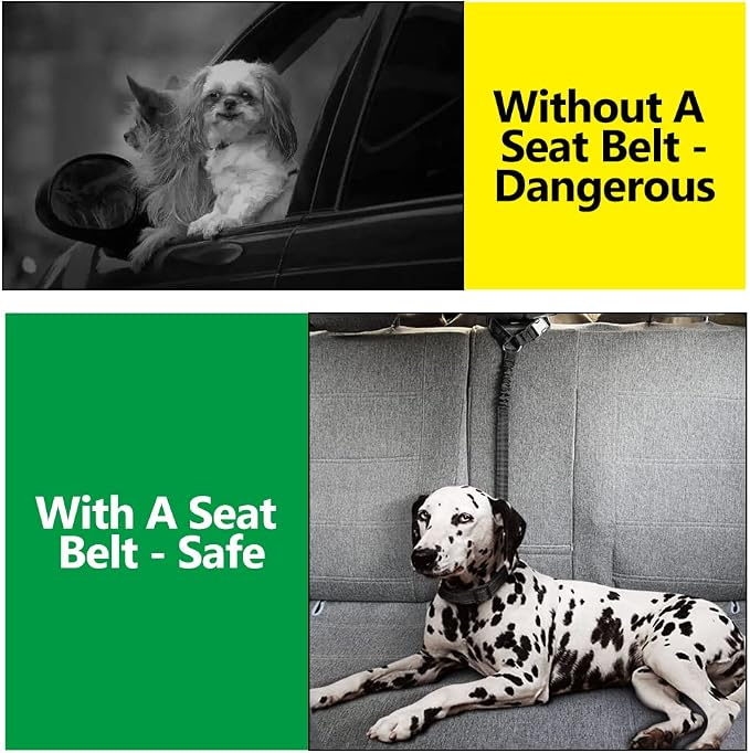Plutus Pet Dog Seat Belt for Car Headrest, Reflective with Elastic Bungee | Adjustable Restraint for Safety, Vehicle Seatbelt Harness for Small Medium Large Dogs and Cats, Black