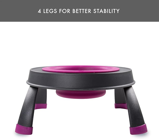 Dexas Pets Single Elevated Pet Feeder/Pet Bowl, 4 Cup Capacity, Fuchsia, Large/4 Cup Capacity