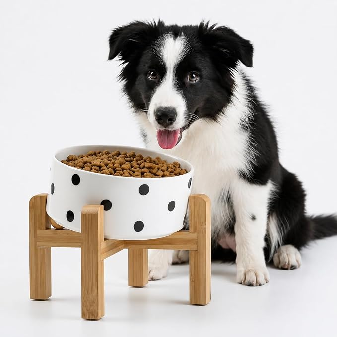 Petygooing Elevated/Raised 15°Slanted Ceramic Dog Bowl for Small and Medium Breeds, Tilted Anti Slip Pet Feeding Bowl,Food Water Dish with Stand for Cats and Dogs (28 OZ/3.6 Cups) Black Dot
