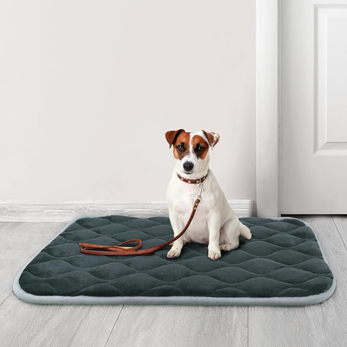 Dog Bed Mat Crate Pad, Anti-Slip Bottom Machine Washable Pet Pad | Thick lightweight mat with anti-slip bottom, machine washable. Ideal for dogs, cats in crates, home & car, S 24x18'', Grey