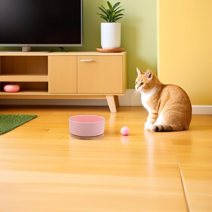 USB Powered Heated Pet Bowl for Cats and Dogs Anti-Freeze Electric Warming Ceramic Feeder with Cord Small Pink Thermal Water Dish for Outdoor Winter Use