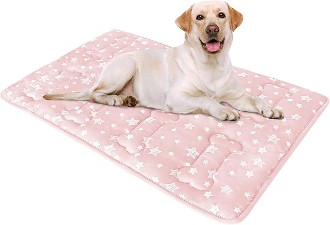 Dog Crate Mat (36" X 23"), Soft Dog Bed Pad Mat with Cute Prints | Personalized Crate Pad, Anti-Slip Bottom, Machine Washable Kennel Pad