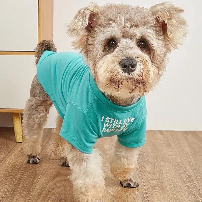 Cute Dog Clothes, T Shirt for Medium and Small Dogs Girl Boy,Puppy.Breathable Soft Dog Costume for Pet Dogs Cats, Pet Pullover Jumper, Cat Clothes (XXL-(19~23lb), Chest~21.5", Aqua)