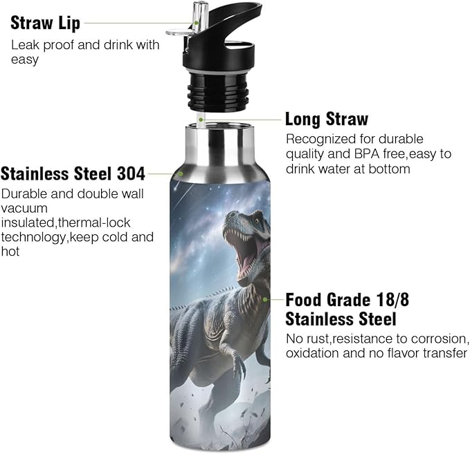 Dinosaur Galaxy Track Wall Water Bottle with Straw Lid Kids Insulated Stainless Steel Water Flask Sports, 20 Oz Hot Cold